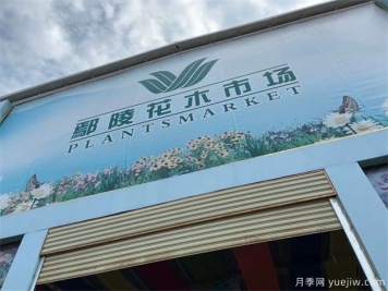 鄢陵县花木产业未必能想到的那些问题
