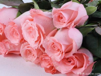 戴安娜玫瑰的花语是什么？有图片的更好？